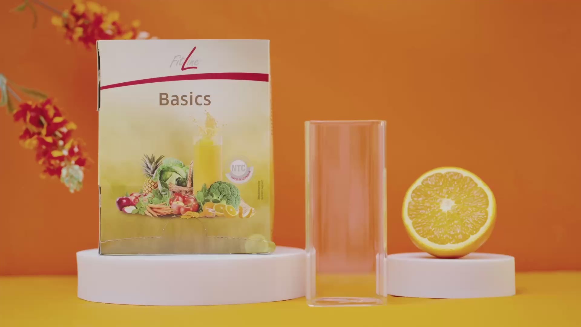 德国 PM-FitLine® Basics (Sachet) 大白，每日能量供应，基础的供应